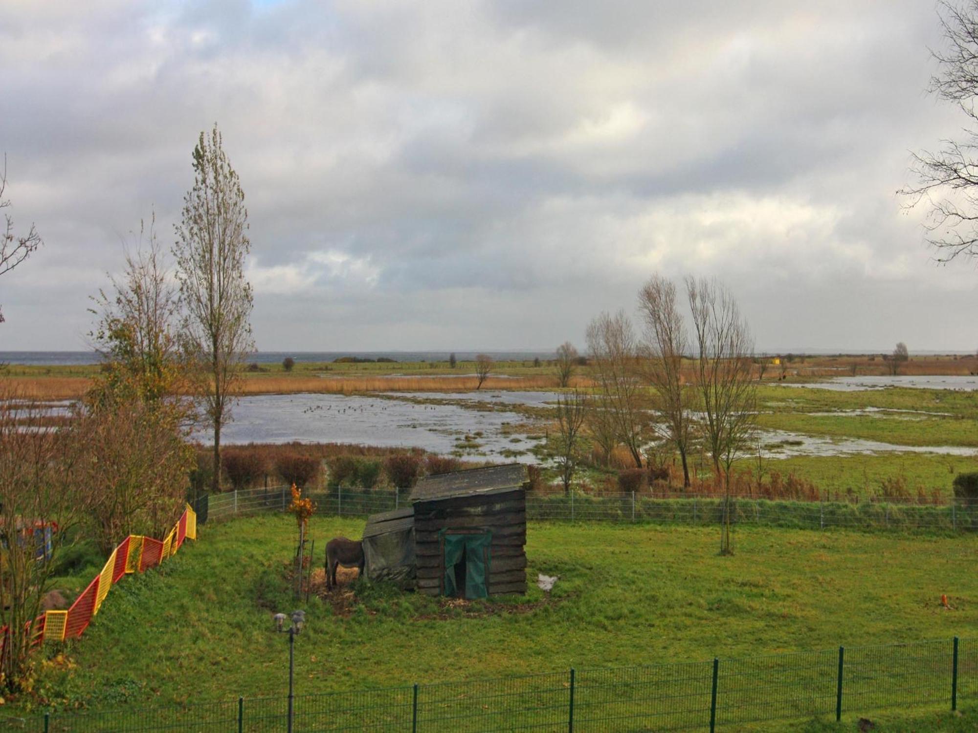 Holiday Complex Schuldt, Behrensdorf Bagian luar foto